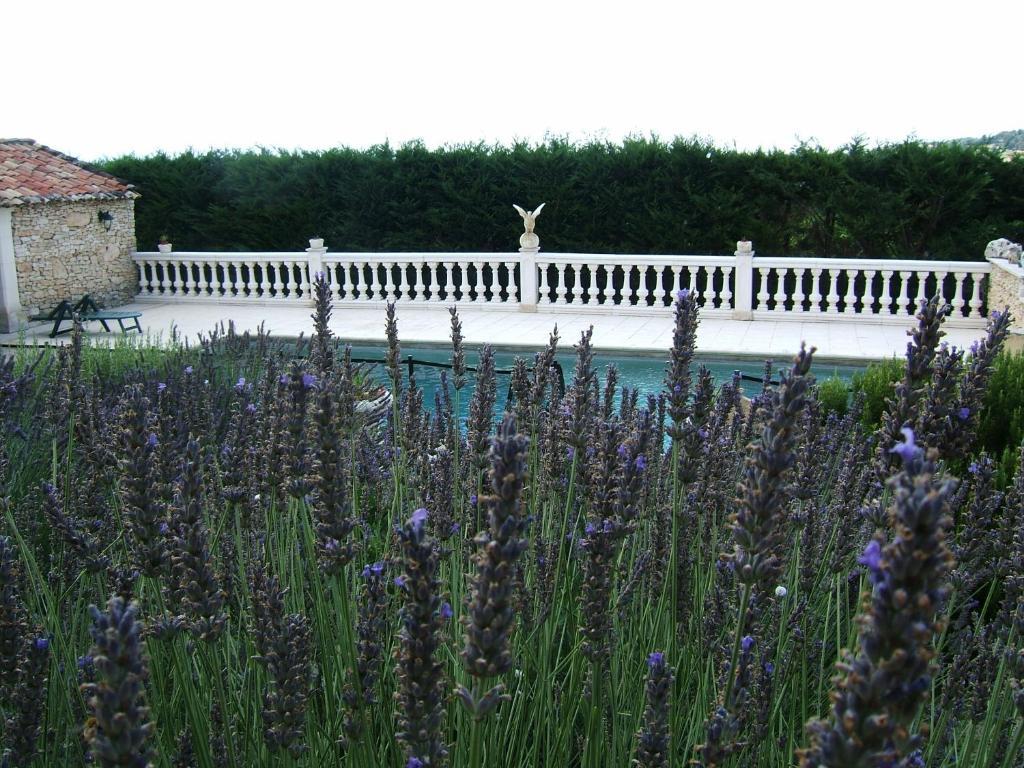 Appartamento La Bastide Des Raisins Apt Esterno foto